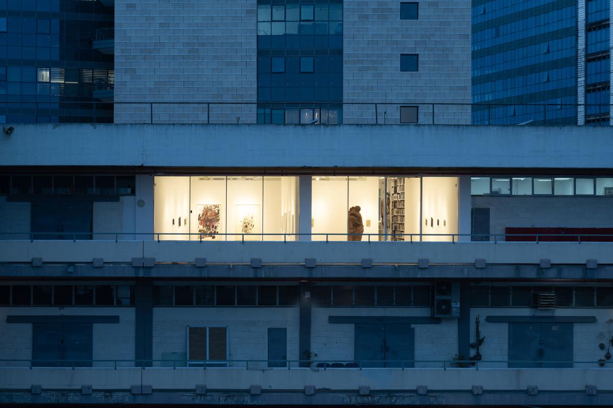 dsc8907-copy.jpg dsc8907-copy.jpg