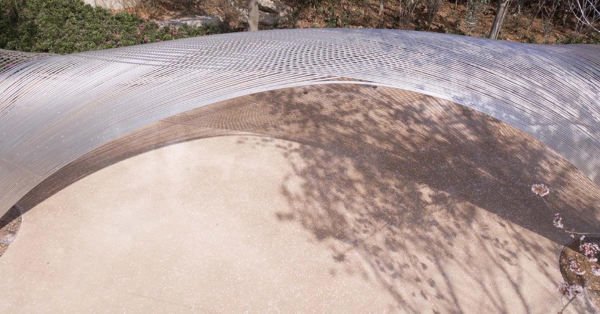 040-櫻花樹(shù)和鋪裝.jpg 040-櫻花樹(shù)和鋪裝.jpg